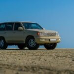 reliable digital stability model