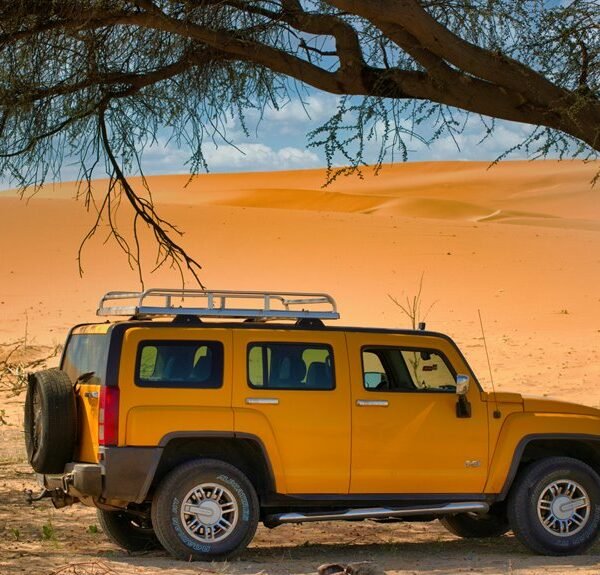 reliable model for expansion