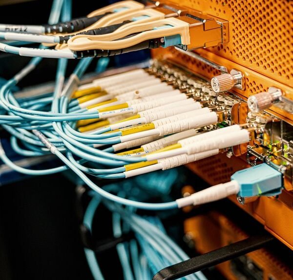 web network expansion initiative